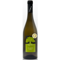 Scubla Sauvignon blanc "RS"