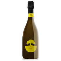 SPUMANTE “RS” MARTINOTTI – Brut